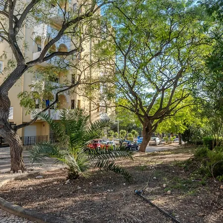 Διαμέρισμα Casa Rocha With Terrace *